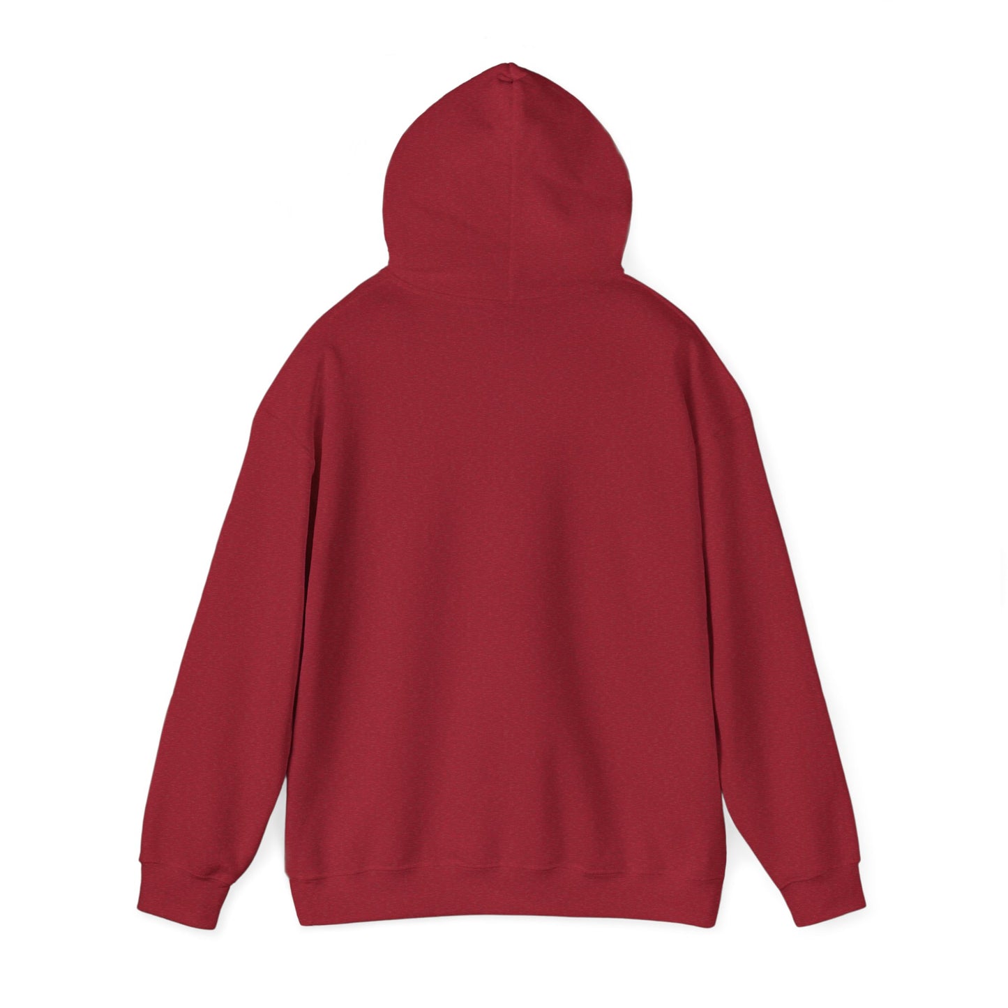 "Mi Burrito Sabanero"- Cozy Hooded Sweatshirt